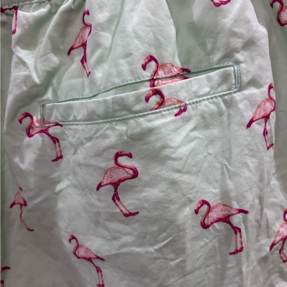 NWOT Massive Men’s Mint Green Elastic Drawstring Shorts Flamingo Design Size XL - Picture 3 of 11